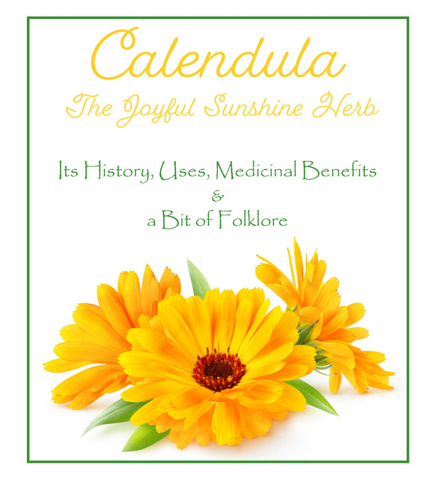Herb Highlight:  Calendula