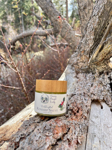 A jar of rosehip salve sitting on a tree branch in the woods