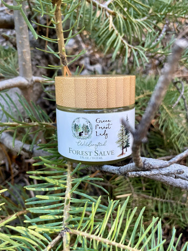 Jar of Green Forest Lady Wild Crafted Forest Salve on a tree brand surrounded by pine needles