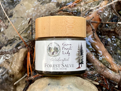 A jar of Green Forest Lady Wildcrafted Forest Salve sitting between a rock and a tree branch in a stream.