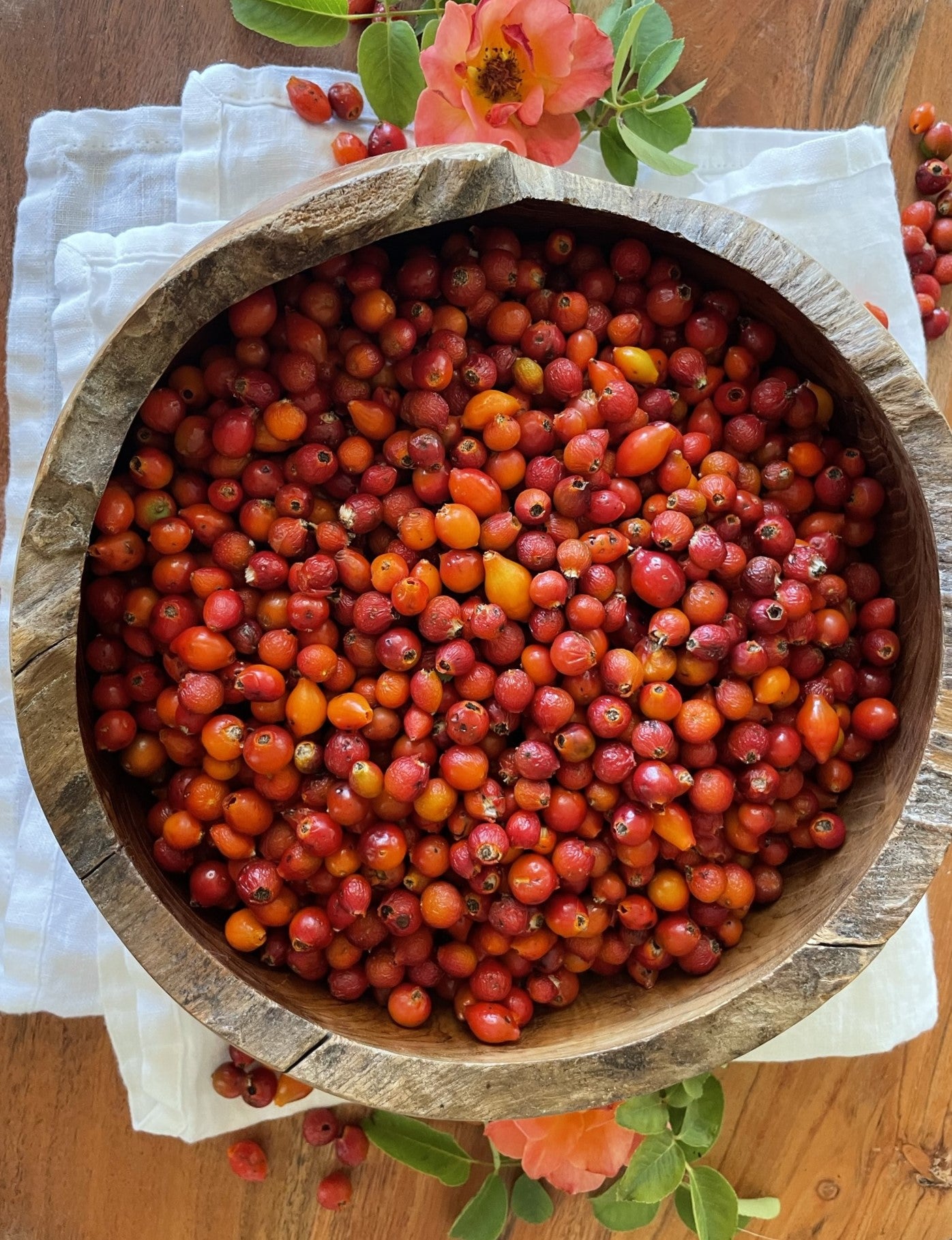 Wild harvested rose hips  sitting in a wooden bowl on a wooden table with roses on it