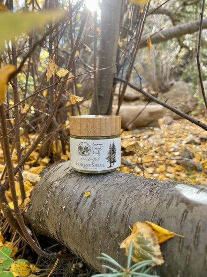 A jar of Forest Salve sitting on a fallen tree surrounded by fall leaves